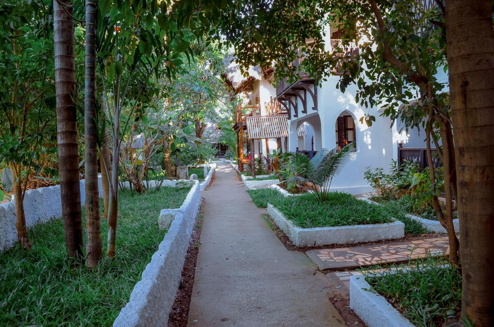 Langi Langi Nungwi